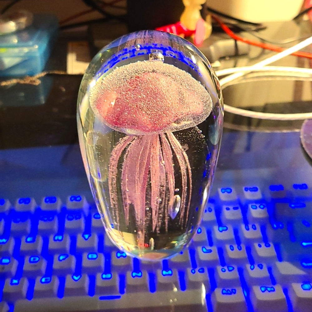 Jellyfish paperweight
